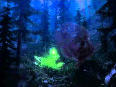 Müştâkım yâre Yok mu bir çare ?