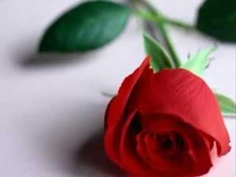 Talea’l Bedru Aleyna – Ay doğdu üzerimize