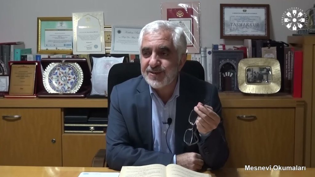 Mesnevî Okumaları -245- Prof. Dr. Zülfikar Güngör