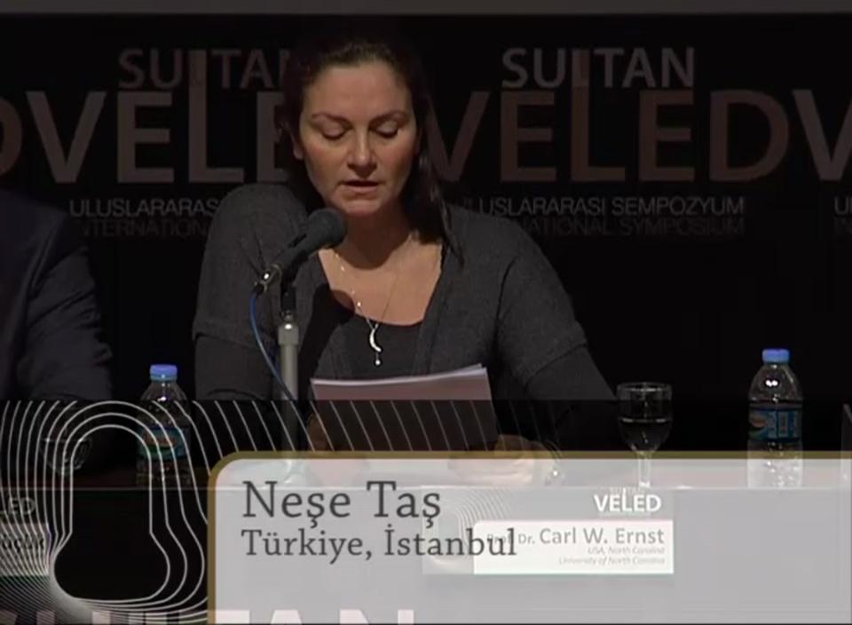 Carl W. Ernst, Prof. Dr.