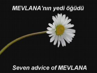 YEDİ ÖĞÜT – CAN AKIN