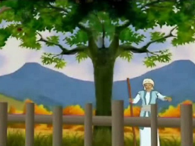 Ayının Dostluğu – Çizgi Film