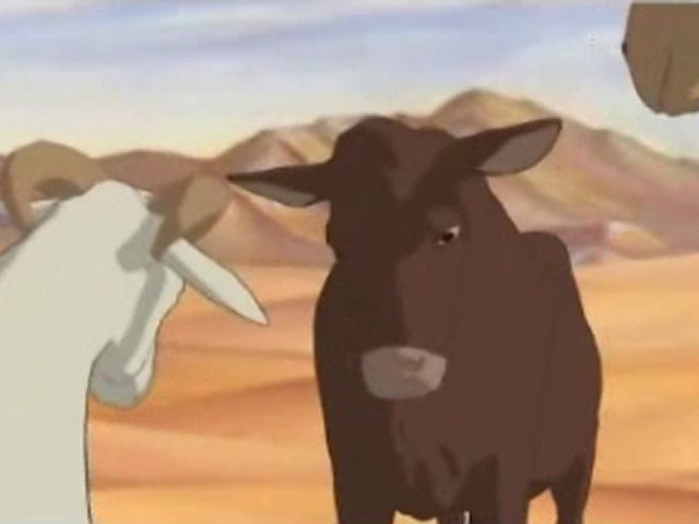 Yaşlı Deve – Çizgi Film