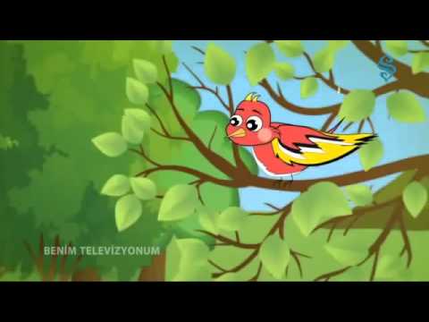 “Avcı ile Kuş” – Mesnevi’den Hikayeler