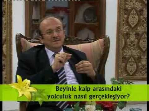 Bunalım – MEHMET DOĞRAMACI