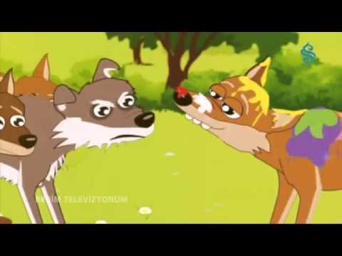 “Çakalın Tavusluk iddiası” – Mesnevi’den Hikayeler