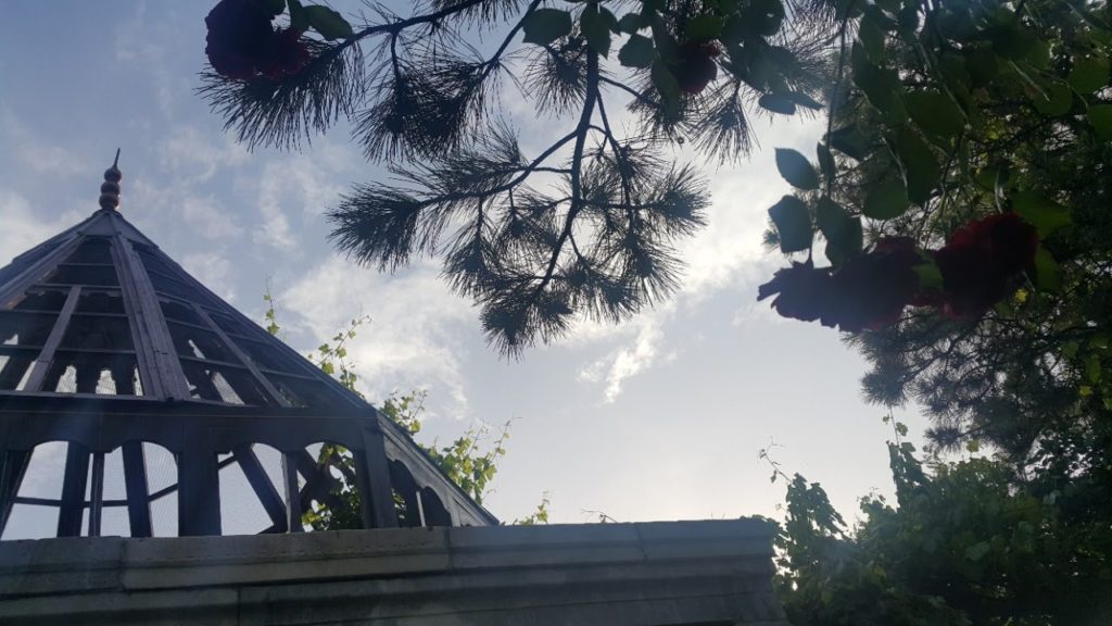 Faik Özdengül, Rumi Aşkın Terapi, 62