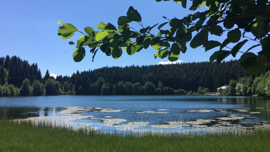 Faik Özdengül, Rumi Aşkın Terapi, 99