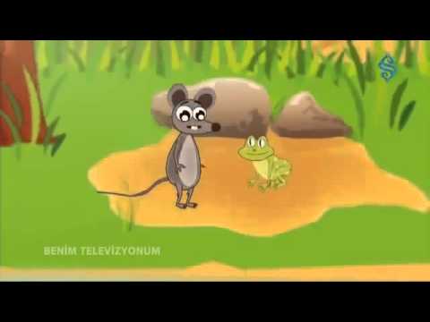 “Fare ve Kurbağa” – Mesnevi’den Hikayeler