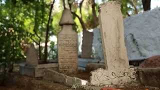 Şâhidî Dede Hz – Gönül Sultanları – TRT DİYANET