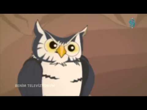 “Padişahın Doğanı” – Mesnevi’den Hikayeler