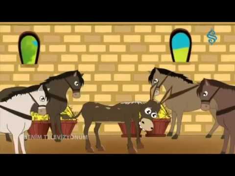 “Saray Atları ve Zayıf Eşek” – Mesnevi’den Hikayeler